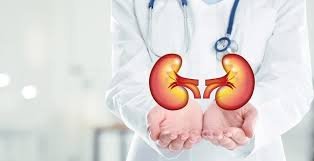 nephrologist specialist