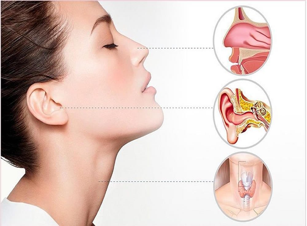 nose, ear, throat specialist