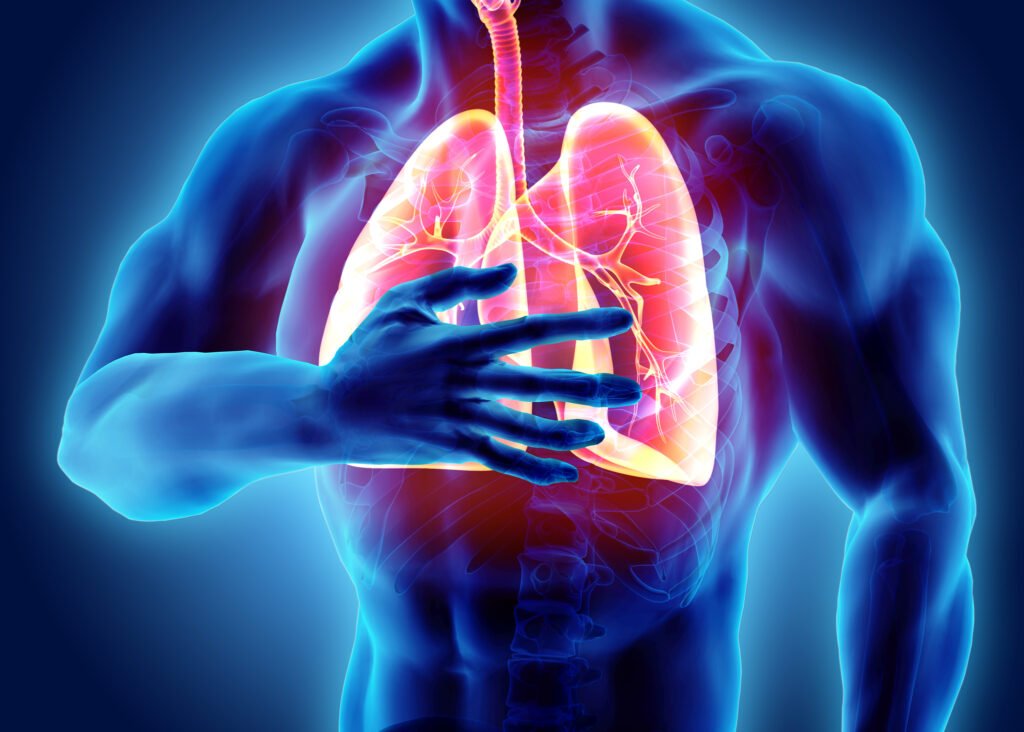 3D medical illustration showing human lungs with chest pain | Kaiwalya Hospital Indore Pulmonology and Respiratory Care
