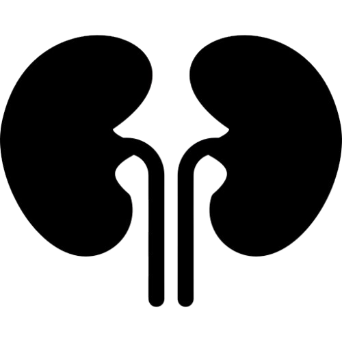 Kidney care symbol representing nephrology services at the best hospital in Khandwa Road Indore.